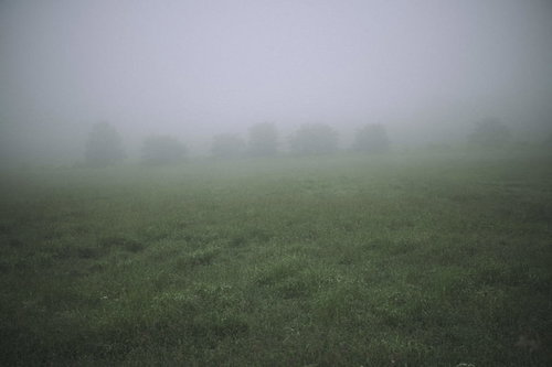霧に向こうにおぼろげに見える木々と草原の朝景色