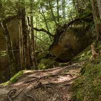 瑞牆山の巨大な岩が転がる山中の登山道を歩む登山者たちの写真