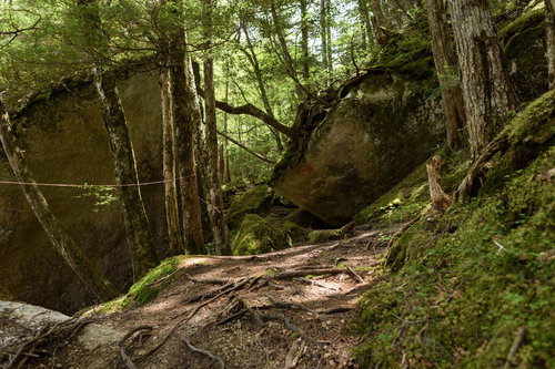 瑞牆山の巨大な岩が転がる山中の登山道を歩む登山者たち
