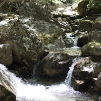瑞牆山の清流が奏でるせせらぎ - 日本百名山の渓流風景の写真