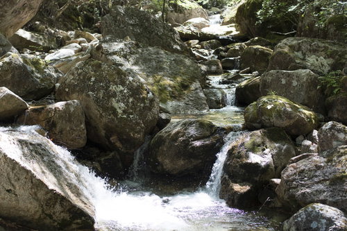 瑞牆山の清流が奏でるせせらぎ - 日本百名山の渓流風景