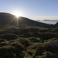 朝日が差す大雪山トムラウシ山の高山植物と日本庭園の写真