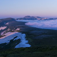朝焼けで紫に染まるトムラウシ山と高根ヶ原の雲海の写真