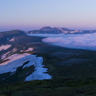 朝焼けで紫に染まるトムラウシ山と高根ヶ原の雲海の写真