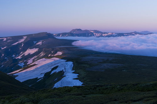 朝焼けで紫に染まるトムラウシ山と高根ヶ原の雲海