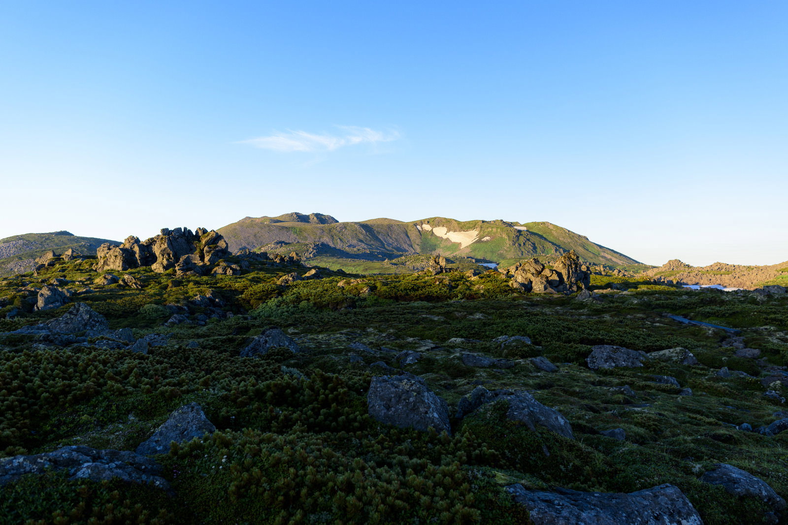 朝焼けに染まるトムラウシ山の山頂部分、岩場とハイマツが朝の光に照らされている