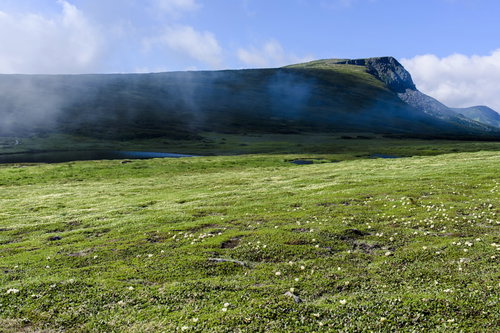 大雪山の草原から眺める忠別岳と青空の山岳風景