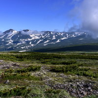 高根ヶ原から見る大雪山旭岳と高山植物の景観の写真