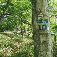 赤城山ツツジが峰通りの登山案内板と登山道情報の写真