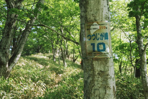 赤城山ツツジが峰通りの登山案内板と登山道情報