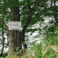赤城山ツツジが峰通り登山道の木製指導標と森林風景の写真