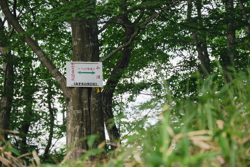 赤城山ツツジが峰通り登山道の木製指導標と森林風景