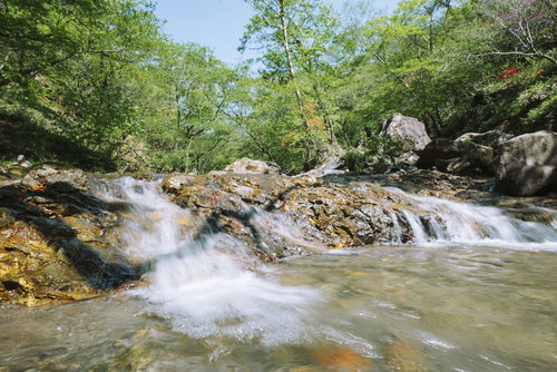赤城山の小沼より流れる渓流と新緑、岩肌を流れる清流