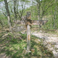 赤城山の長七郎山登山口にある木製指導標と登山道の写真