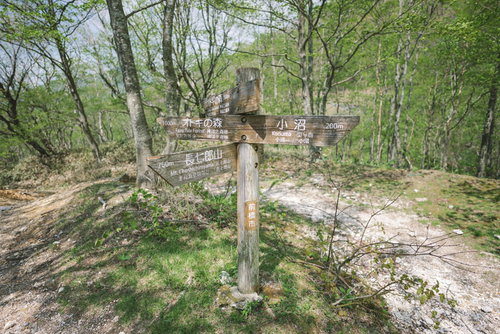 赤城山の長七郎山登山口にある木製指導標と登山道