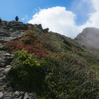日本百名山・浅間山の紅葉外輪山を歩く登山者の写真