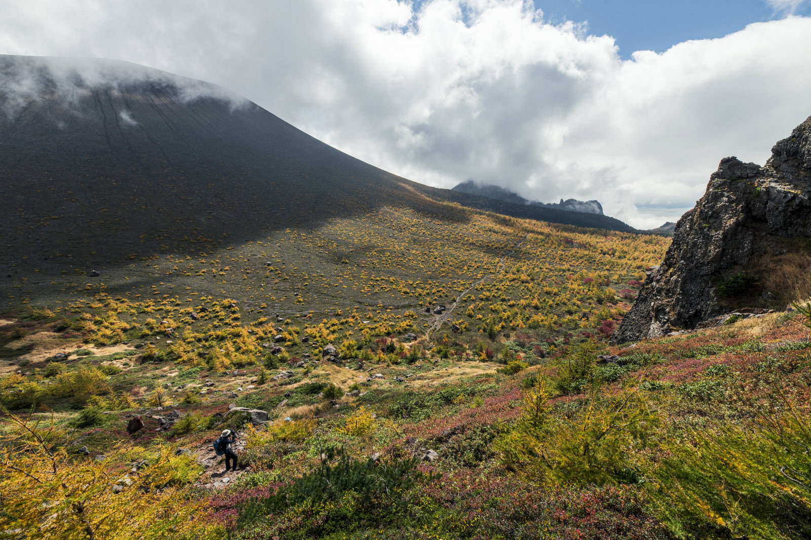 黄色い紅葉と花々が広がる浅間山の高原風景