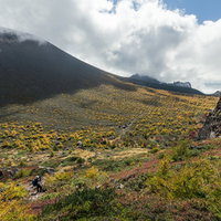 日本百名山の浅間山で黄色く色づく秋の紅葉の写真