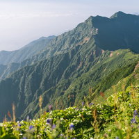 夏の冷池山荘と鹿島槍ヶ岳の稜線を望む北アルプスの山景の写真