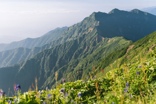 夏の冷池山荘と鹿島槍ヶ岳の稜線を望む北アルプスの山景