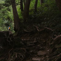 鹿島槍ヶ岳の柏原新道を歩く登山者の後ろ姿の写真