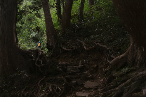 鹿島槍ヶ岳の柏原新道を歩く登山者の後ろ姿