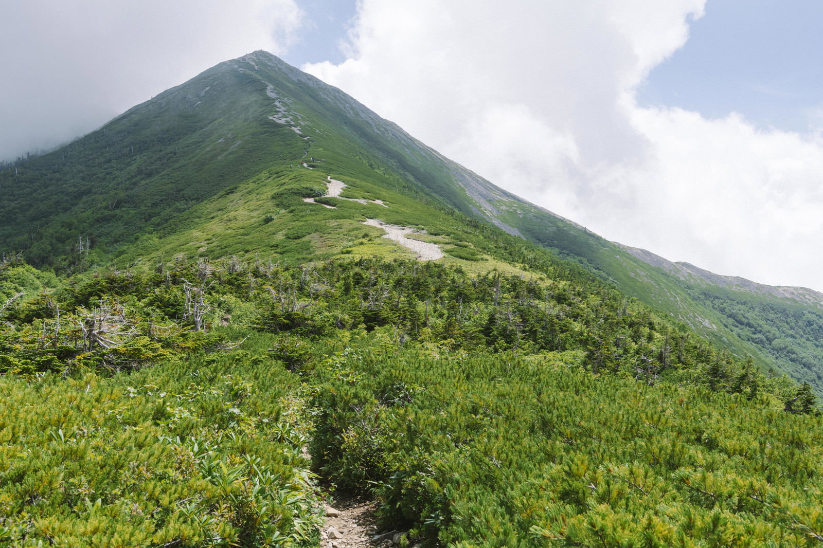 爺ヶ岳から鹿島槍ヶ岳へと続く緑豊かな稜線と登山道