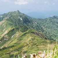 上州武尊山の剣ヶ峰へと続く稜線、日本百名山の登山道風景の写真