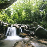日本百名山・上州武尊山の武尊沢を流れる渓流の写真