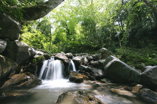 日本百名山・上州武尊山の武尊沢を流れる渓流