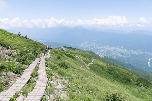 八方尾根の木道から望む五竜岳と白馬の街並みの景色