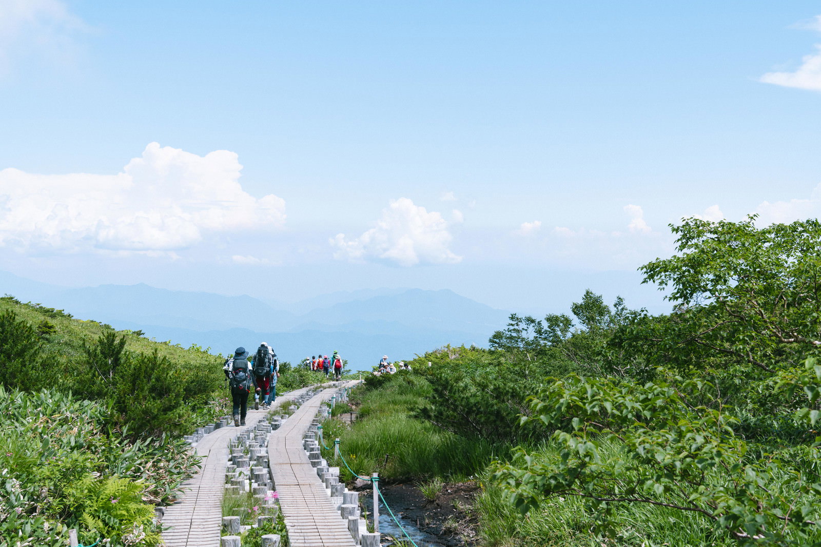 八方尾根の緑の斜面に設置された木道を歩く複数の登山者