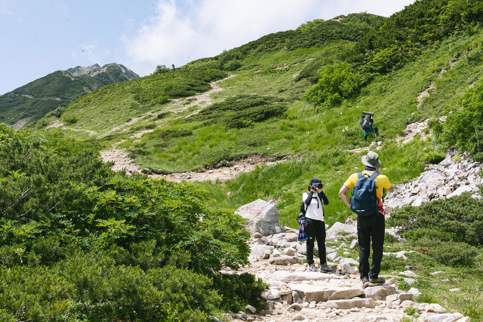 五竜岳の緑豊かな登山道を歩く複数のハイカー