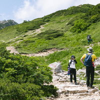 五竜岳の夏山登山道を歩むハイカーたちの景観の写真