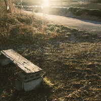 ノスタルジックなベンチと夕日の逆光を捉えた懐かしい風景の写真