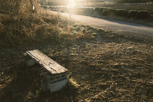 ノスタルジックなベンチと夕日の逆光を捉えた懐かしい風景