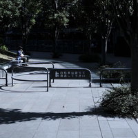 公園の遊歩道沿いのベンチで一人昼食をとる人の写真