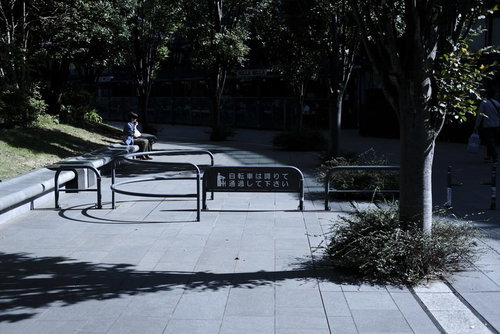 公園の遊歩道沿いのベンチで一人昼食をとる人