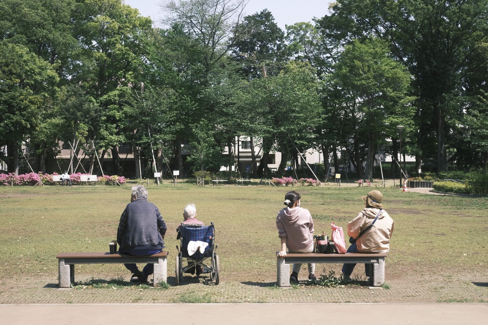 公園の芝生広場でベンチに座って休憩する人々
