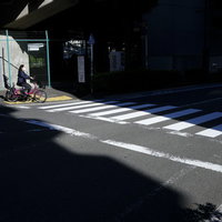 影と光のコントラストの中を通る横断歩道の自転車の写真