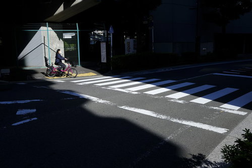 影と光のコントラストの中を通る横断歩道の自転車