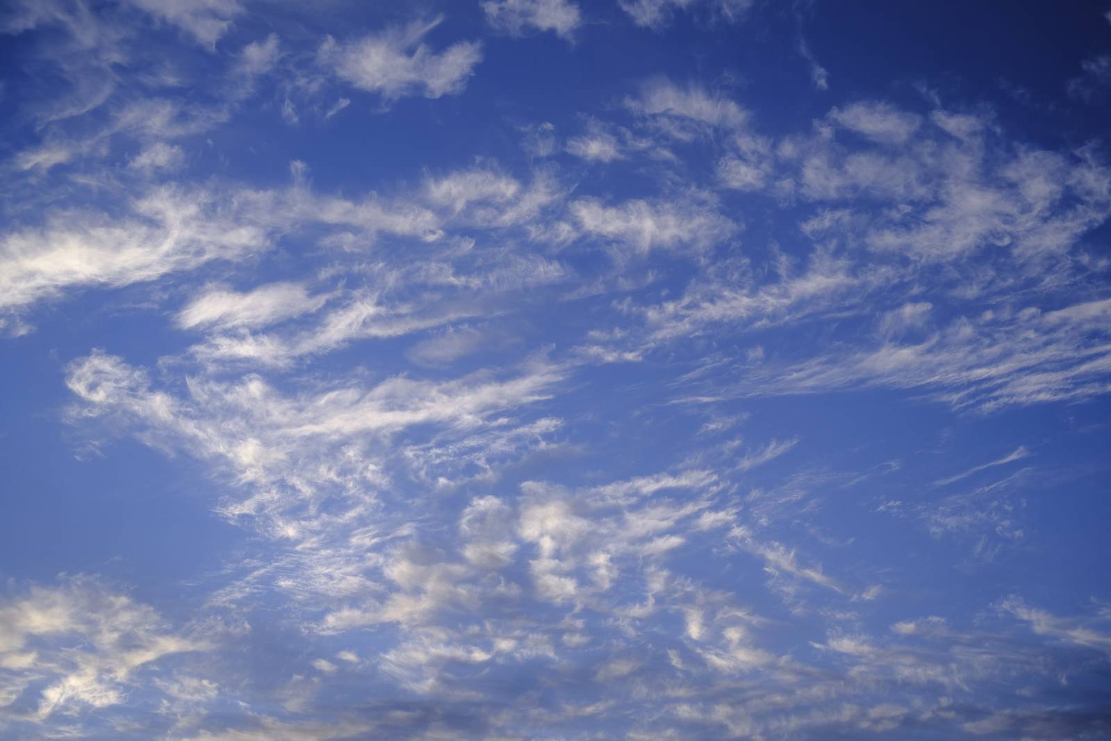 青空に白い雲が散らばって浮かんでいる晴天の空模様
