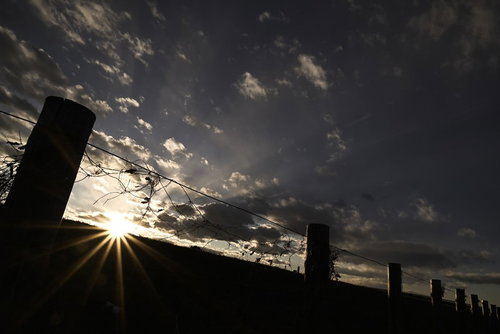 河川敷に降りる夕暮れの光芒と夕日のシルエット風景
