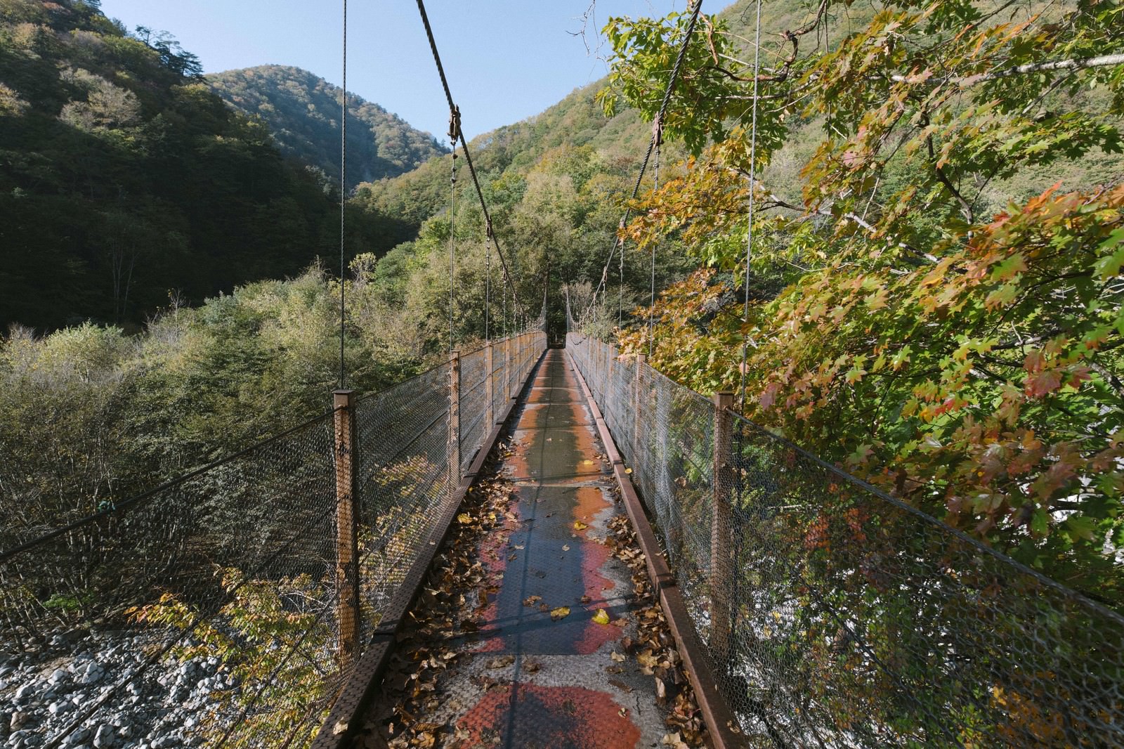 山間の渓谷に架かる木製の吊橋と周囲の秋の紅葉