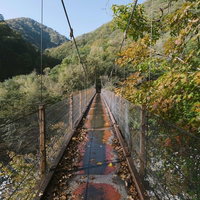 秋の西沢渓谷で紅葉に囲まれた木製の吊橋の風景の写真