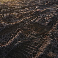 重機に踏み鳴らされた農地の深い痕跡と土の変形の写真