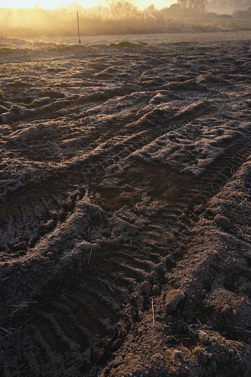 重機に踏み鳴らされた農地の深い痕跡と土の変形