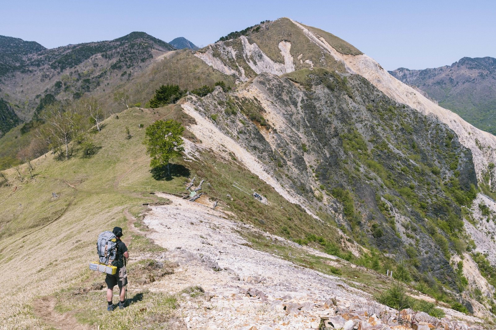 中倉山の稜線上に立つ一本木と登山道を歩くハイカー