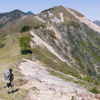 中倉山の稜線上に立つ一本木とハイカーの登山風景の写真