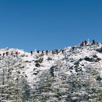 北横岳の坪庭を歩く登山者たちの写真